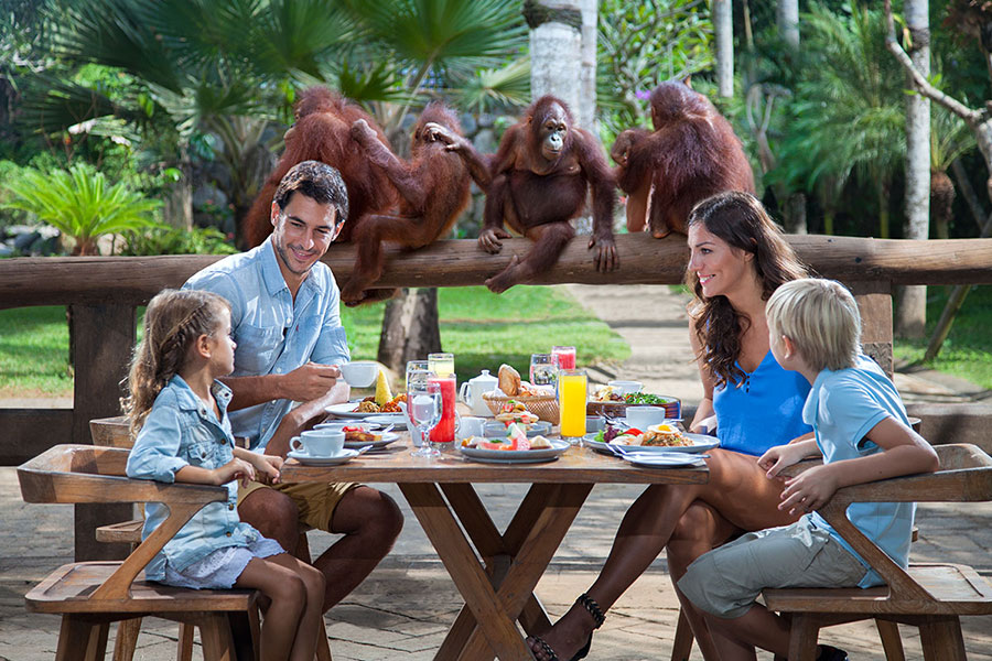 02-(Breakfast-with-Orangutan