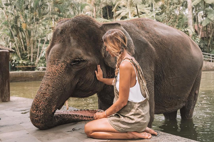 11-elephant-park