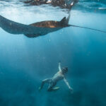 nusa penida snorkeling- best bali tour - manta bay - bali touristic