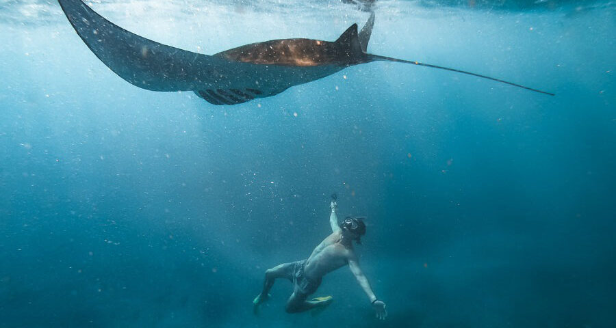nusa penida snorkeling- best bali tour - manta bay - bali touristic