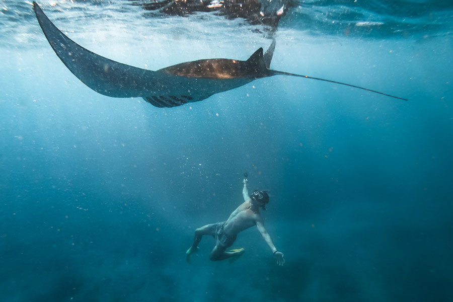 nusa penida snorkeling- best bali tour - manta bay - bali touristic
