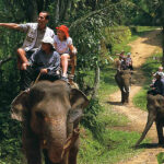 tasta zoo vs bali safari park - bali attraction - bali touristic