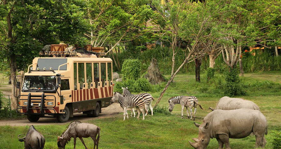 bali safari and marine park