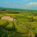 bali adventure tour - bali touristic