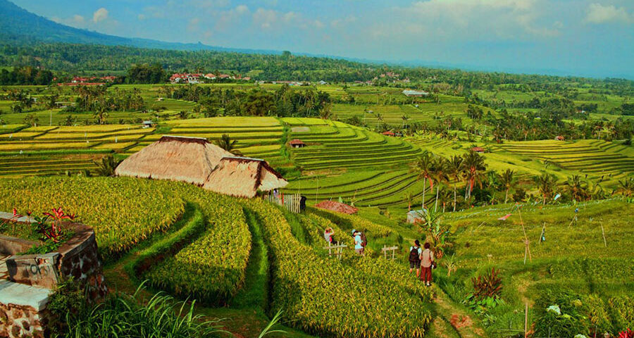 bali adventure tour - bali touristic