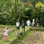 bali tour exploration - bali touristic