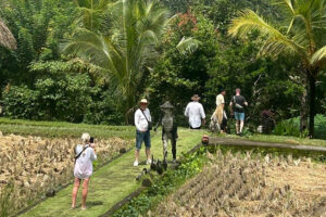 bali tour exploration - bali touristic