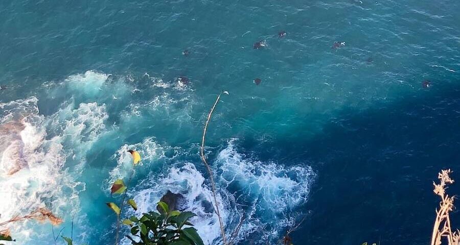 all-inclusive bali trip - bali touristic