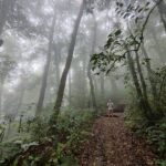 tour in bali-bali tourisric