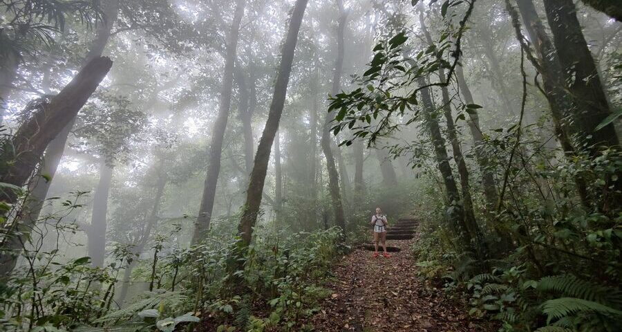 tour in bali-bali tourisric
