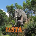 best bali day trip - bali touristic