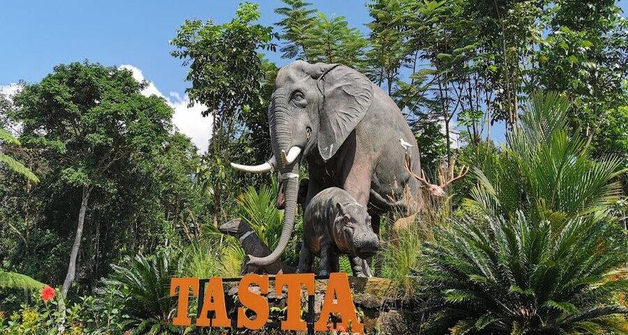 best bali day trip - bali touristic
