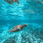 bali instagram tout-bali touristic