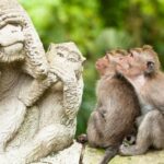 day tour in bali - bali instagram-bali touristic