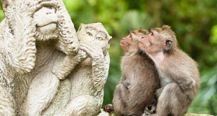 day tour in bali - bali instagram-bali touristic