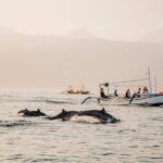 tours in bali - bali touristic