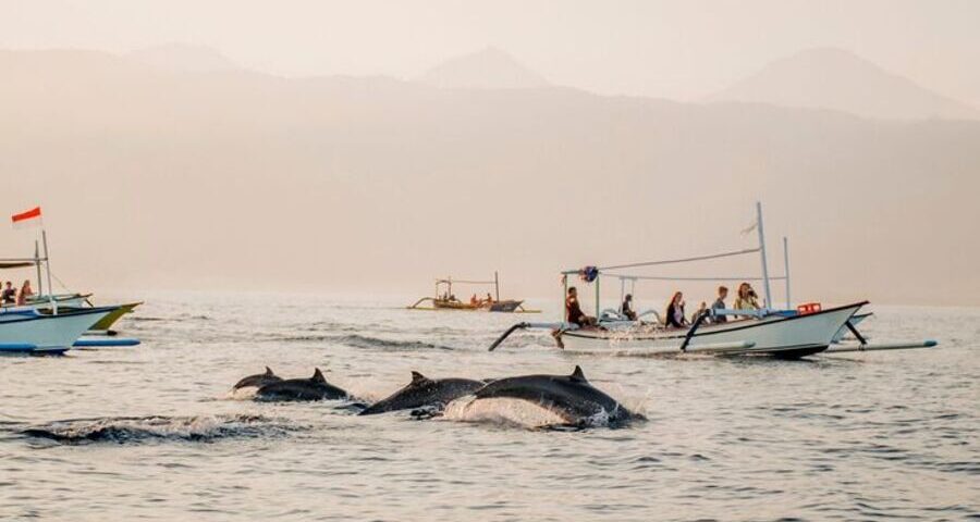 tours in bali - bali touristic