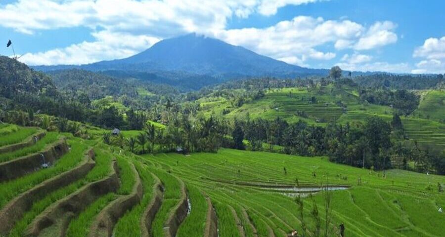 best bali attractions - a day in ubud-tour in bali-bali touristic