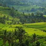 comprehensive travel guide bali - bali touristic