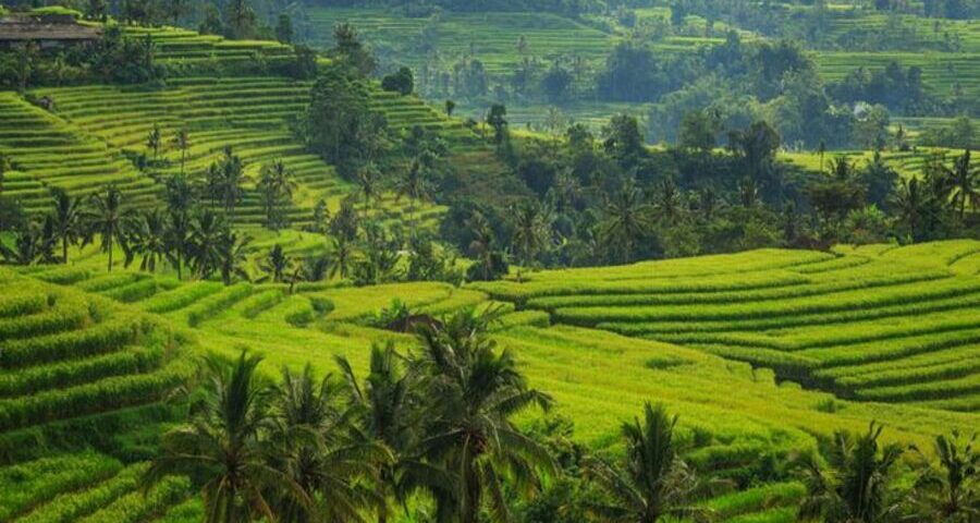 comprehensive travel guide bali - bali touristic