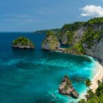 activity in bali - manta rays - bali touristic