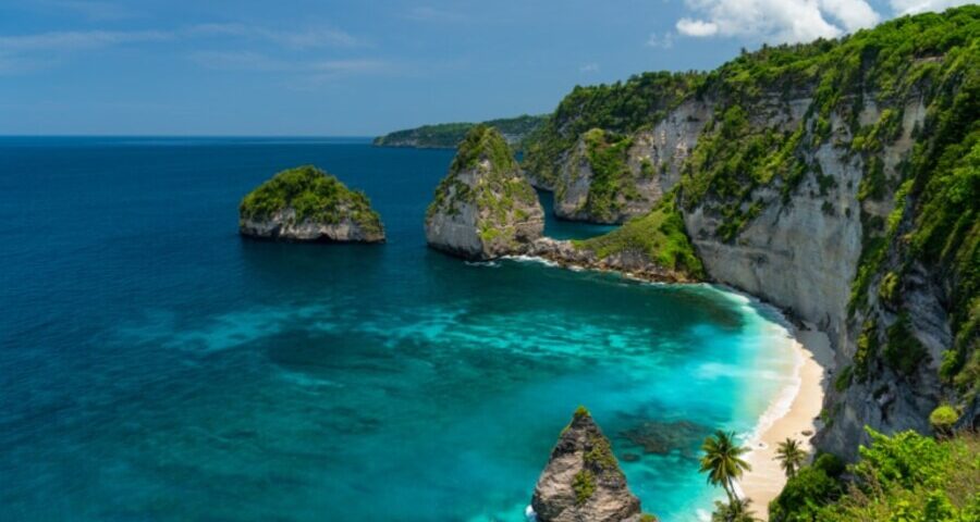 activity in bali - manta rays - bali touristic