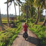 bali travel guide - bali airport to ubud - bali touristic