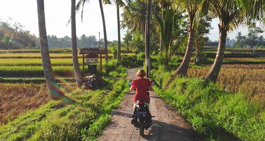 bali travel guide - bali airport to ubud - bali touristic