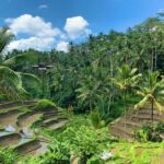 bali travel guide - bali instagram tour-bali touristic
