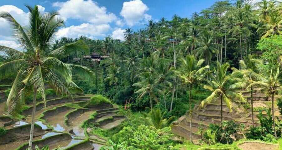 bali travel guide - bali instagram tour-bali touristic