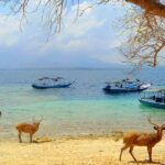 bali adventure tours - bali touristic