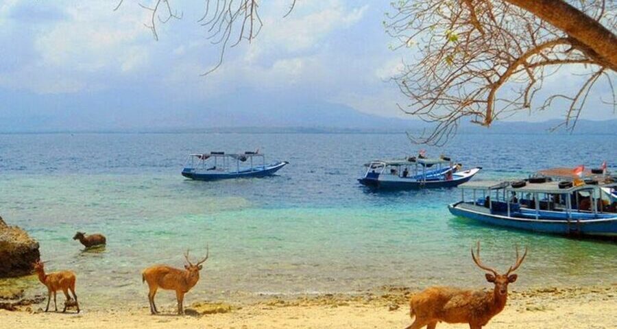 bali adventure tours - bali touristic