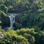 3 days trip-bali toursic