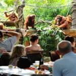 bali airport transfer to ubud tourist attraction east and north in bali-bali touristic
