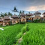 bali interest place-bali trip price - bali touristic