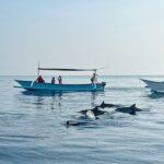 north bali-all-inclusive bali trip - bali touristic