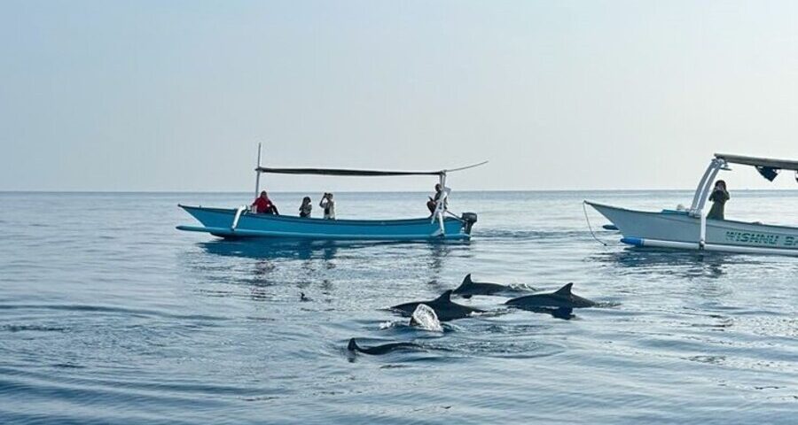 north bali-all-inclusive bali trip - bali touristic
