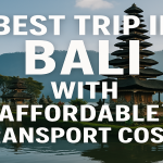 transport cost- bali touristic
