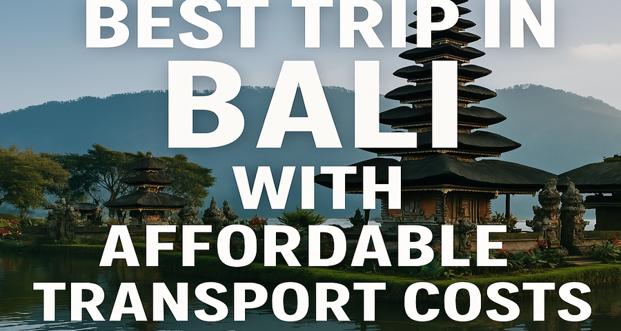 transport cost- bali touristic
